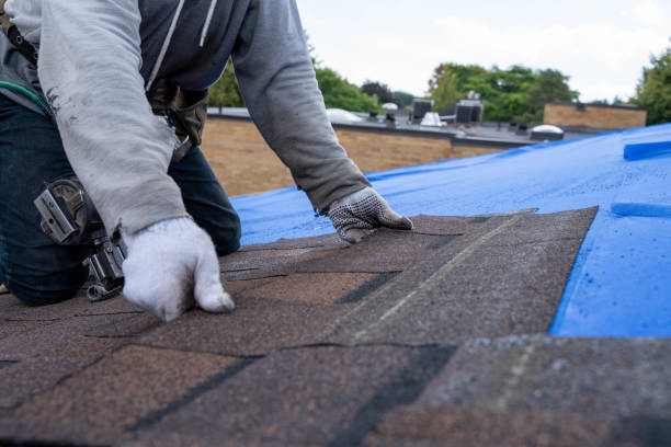 Best Roof Coating and Sealing  in Chrisman, IL